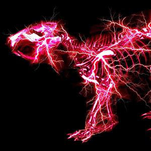 嫲嫲让我脱了内裤C她
